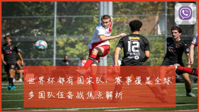 世界杯都有国家队,赛事覆盖全球多国队伍备战焦点解析
