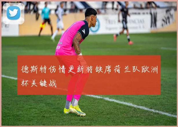 德斯特伤情更新将缺席荷兰队欧洲杯关键战