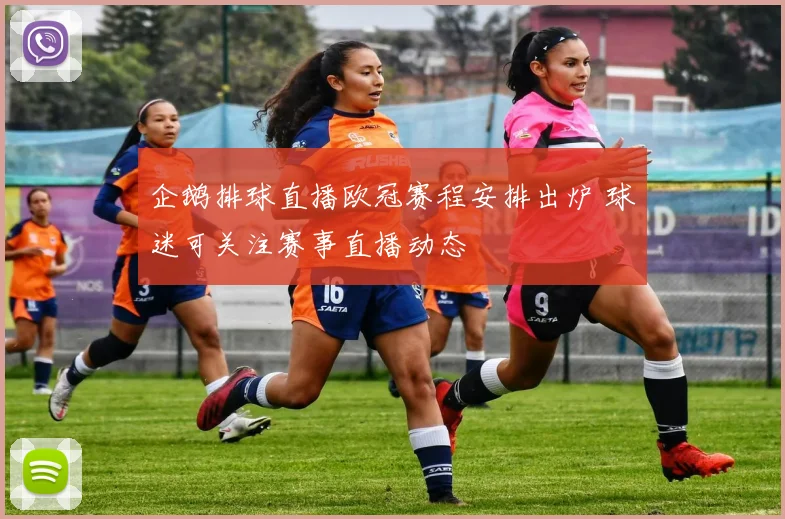 企鹅排球直播欧冠赛程安排出炉 球迷可关注赛事直播动态