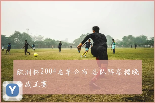 欧洲杯2004名单公布 各队阵容揭晓备战正赛