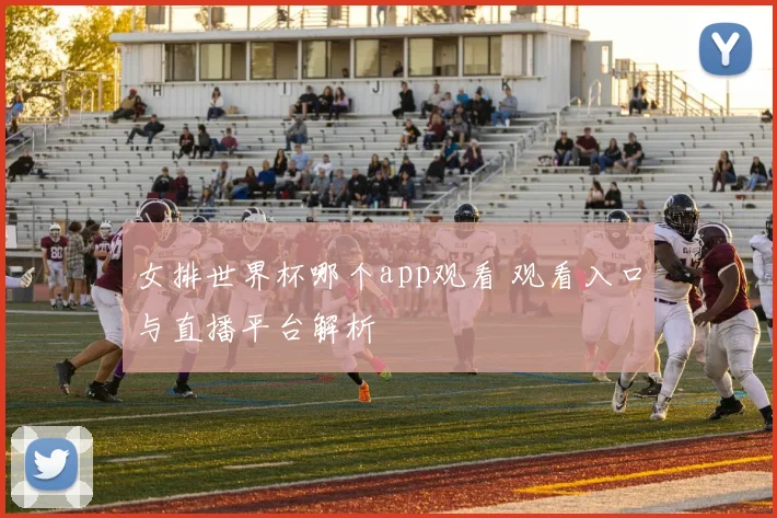 女排世界杯哪个app观看 观看入口与直播平台解析