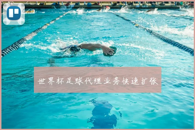 世界杯足球代理业务快速扩张