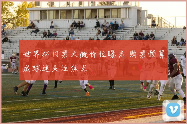 世界杯门票大概价位曝光 购票预算成球迷关注焦点