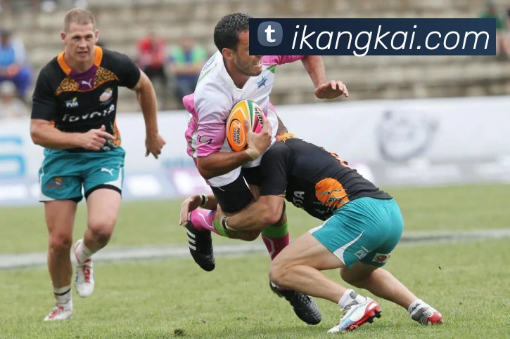 宝赢体育官网首页品牌故事